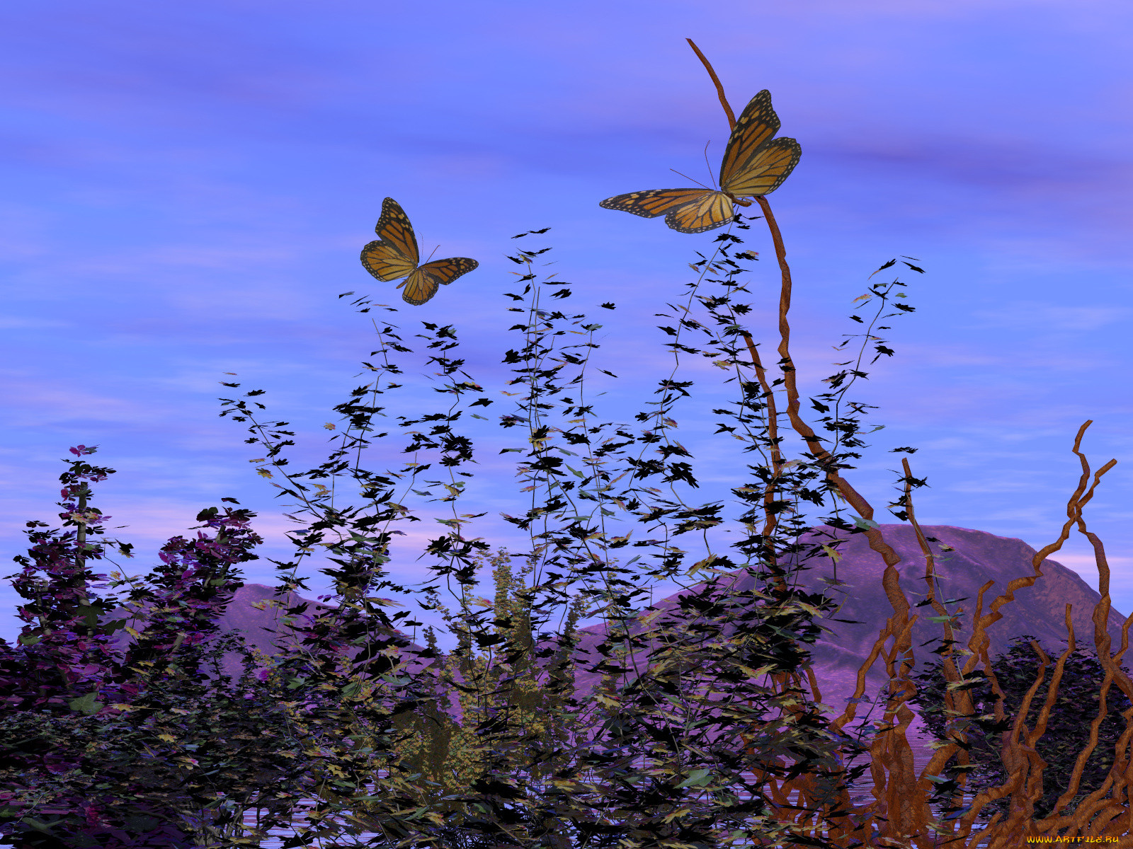 3, , nature, landscape, , , 
